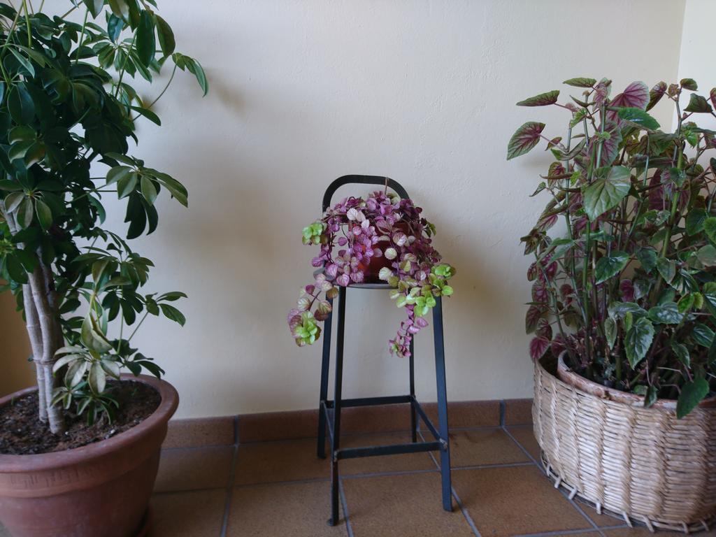 Posada El Jardin Сантильяна-дель-Мар Экстерьер фото